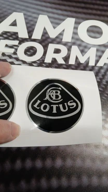 Lotus Elise / Evora / Exige S2  Single Badge Refurbishment. - Image 5